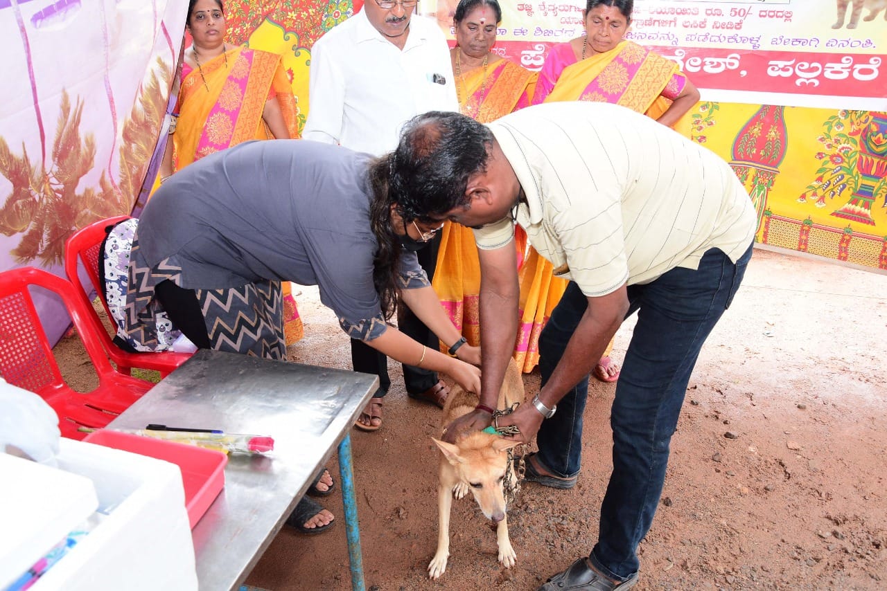 Animal Care Trust: Rescue, shelter abandoned, injured street animals in  Mangalore, Karnataka, India.